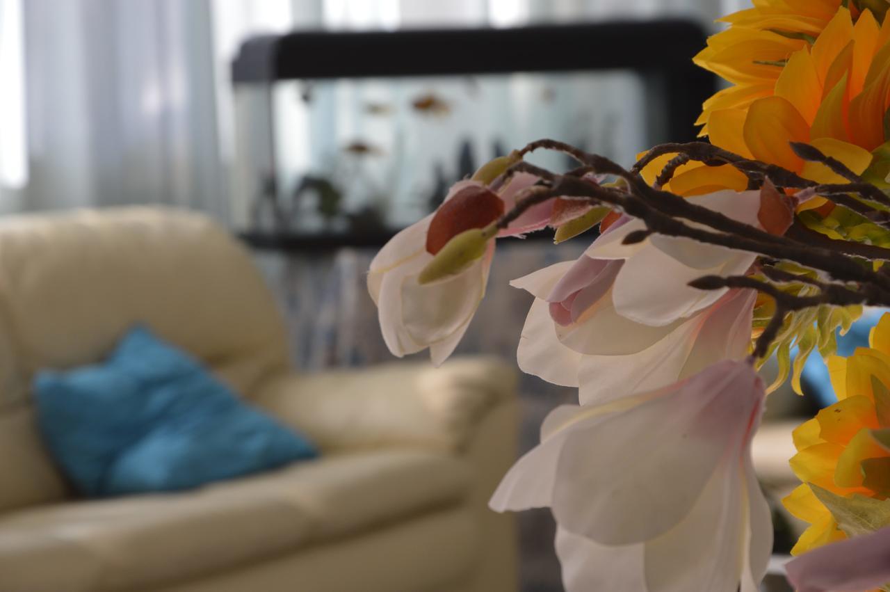Hotel Fucsia Riccione Dış mekan fotoğraf