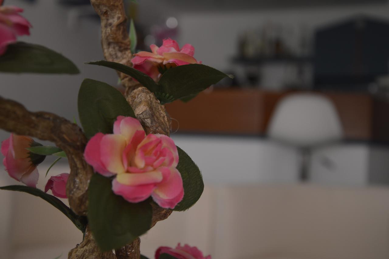 Hotel Fucsia Riccione Dış mekan fotoğraf
